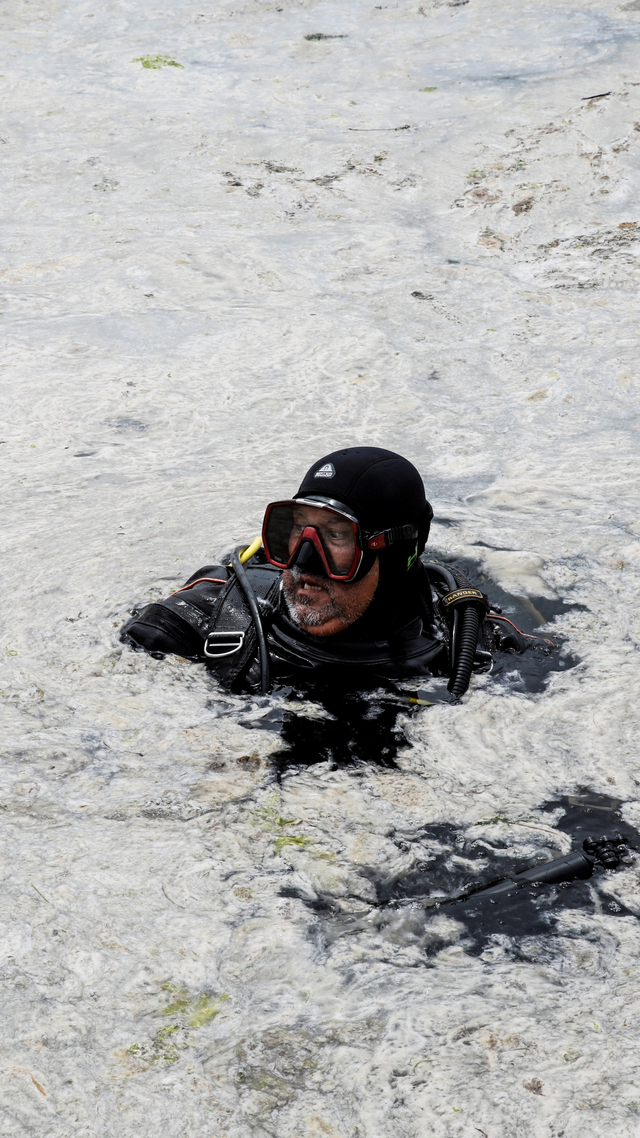 Penyelam berenang untuk memeriksa laut yang ditutupi dengan wabah ingus laut, di tepi Istanbul, Turki, Selasa (8/6). Foto: Umit Bektas/REUTERS