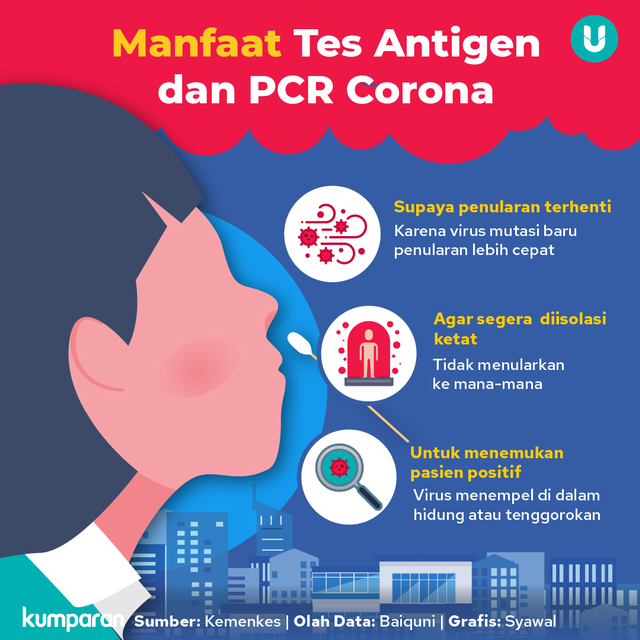 Infografik manfaat tes antigen dan PCR corona.
Foto: Tim Kreatif kumparan