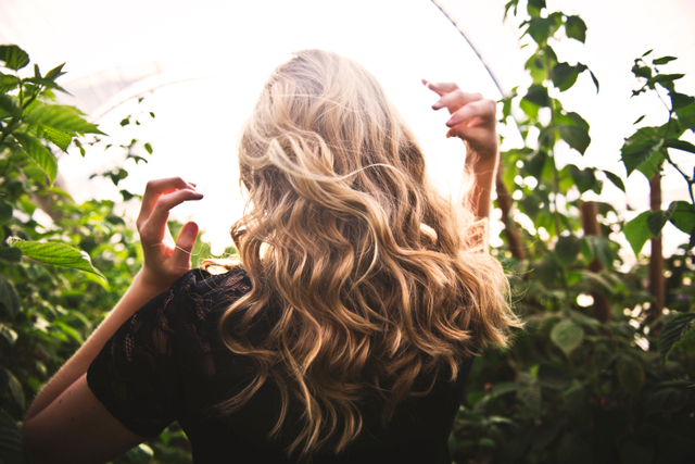 Ilustrasi Warna Rambut Pirang, Tips Merawat Warna Rambut Agar Tahan Lama. Foto: Pexels