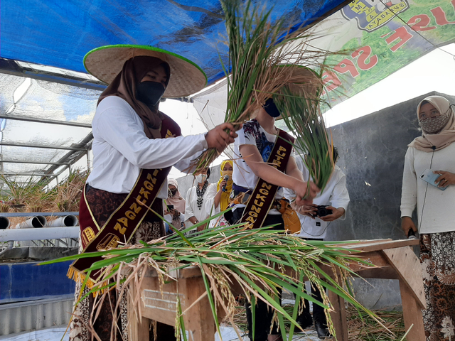 Foto-foto: Amanah Nur Asiah/Basra