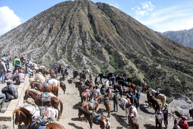 Pemilik menunggu wisatawan untuk naik kuda di Gunung Bromo, Probolinggo, Jawa Timur, Minggu (13/6/2021). Foto: Umarul Faruq/ANTARA FOTO