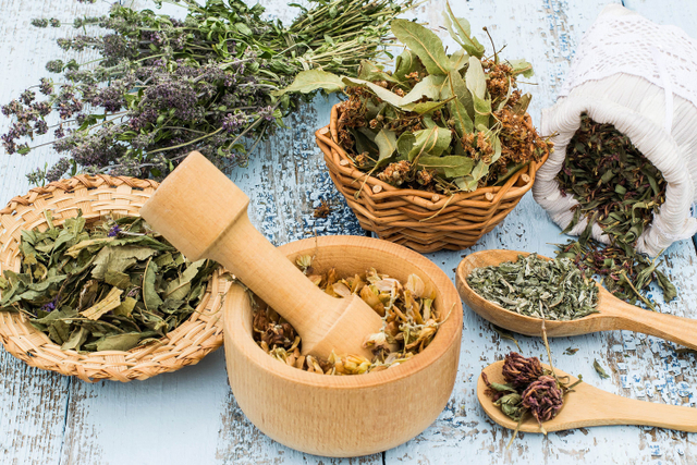 Ilustrasi tanaman herbal. Foto: Shutterstock
