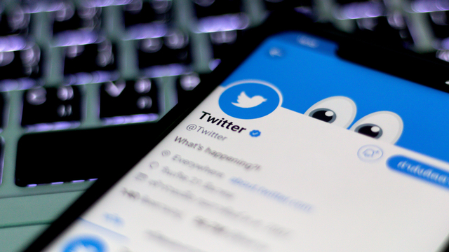 Ilustrasi media sosial Twitter. Foto: Shutter Stock