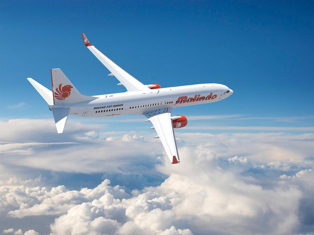 Ilustrasi pesawat Malindo Air Foto: Dok. Malindo Air