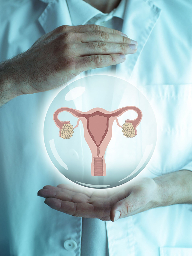 Ilustrasi rahim. Foto: Shutter Stock