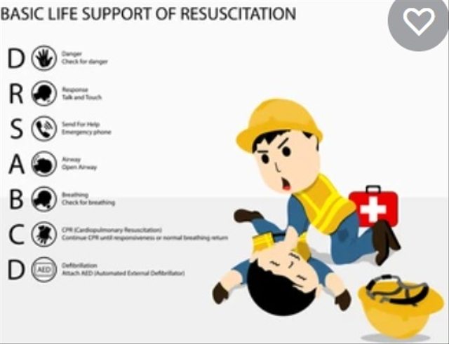 Sumber: https://www.shutterstock.com/id/image-vector/visual-drawing-infographics-basic-life-support-1248939169