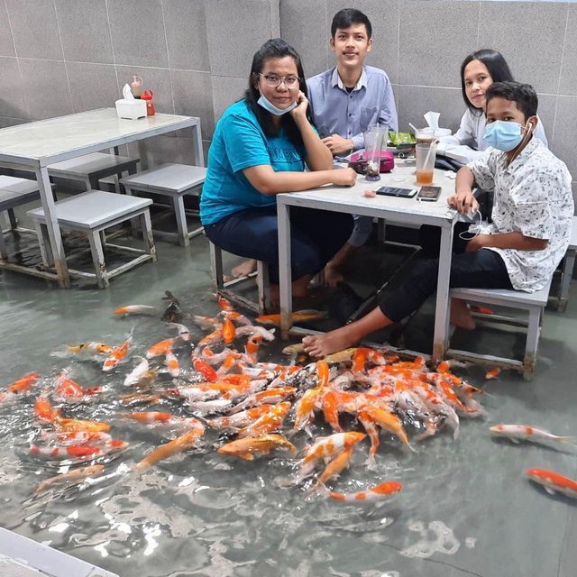 Rujak House Pekanbaru viral di media sosial, karena menawarkan konsep makan bersama ikan koi. Foto: Dok Rujak House