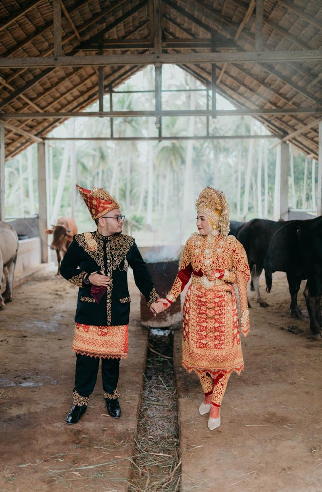 Pasangan pengantin Zahlul Pasha dan Nora Ernita di Kabupaten Bireuen, Aceh, saat mengabadikan momen sakralnya di kandang sapi. Foto: Andi Maulana untuk acehkini