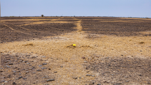 Geoglyph terbesar ini ditemukan di Gurun Thar di India. Foto: Carlo Oetheimer dan Yohann Oetheimer/Archaeological Research in Asia