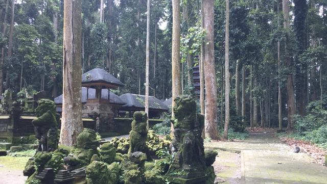 Hutan Sangeh (Dok.Pribadi)