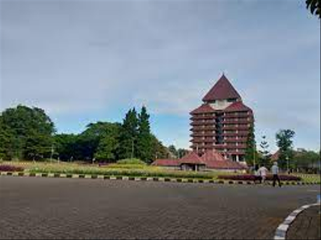 Mengetahui Passing Grade UI sebelum masuk Universitas. Foto: dok. https://www.pexels.com/