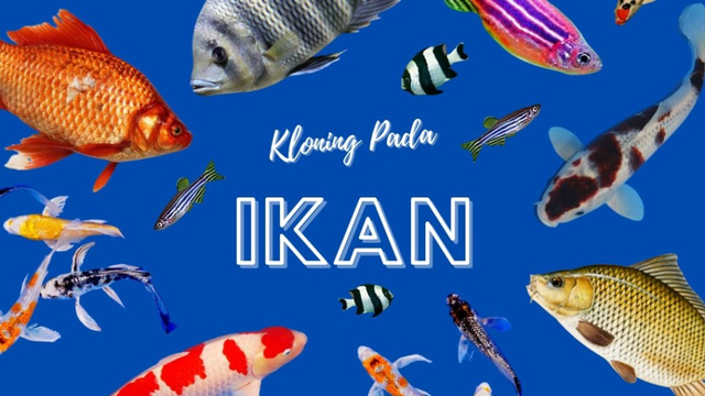 Kloning Pada Ikan , Sumber Gambar : zhaafirakharima in Canva.com
