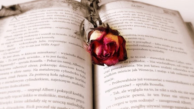 Gambar ilustrasi. Foto: Pixabay/DGlodowska