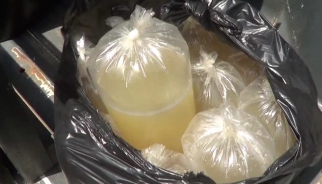 Ilustrasi. Minuman tuak yang dikemas ke dalam plastik. Foto: IST