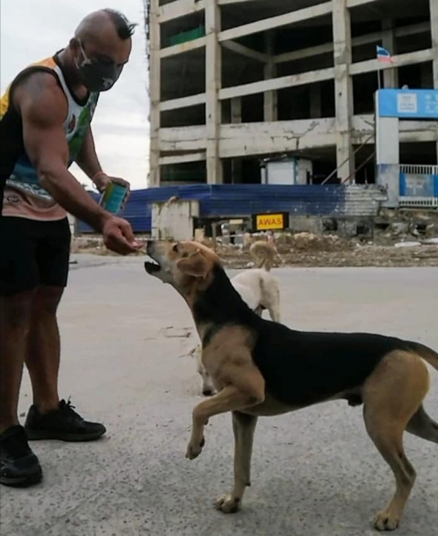 AJ Lias Mansor membagikan makanan bagi seekor anjing yang ia temui di jalanan. Foto: Facebook AJ Lias Mansor