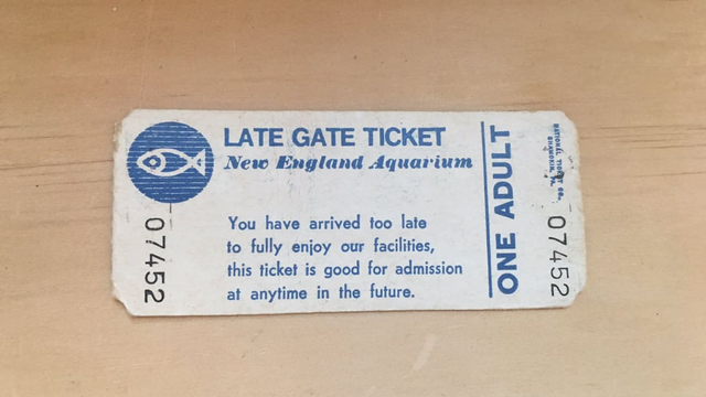 Tiket masuk New England Aquarium berusia 38 tahun  Foto: Rachel Carlee/ Twitter