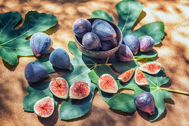 Foto Buah Tin. Foto: Shutter Stock 