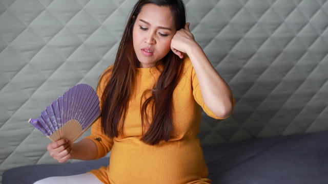 Penyebab Ibu Hamil Gampang Gerah Foto: Shutterstock