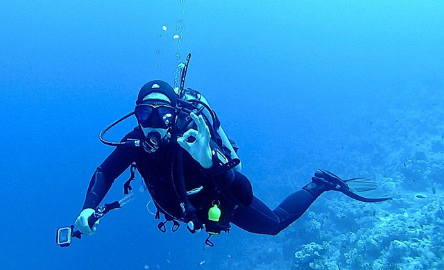 Ilustrasi Diving (Sumber: Pixabay)