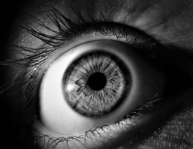 Penyebab Kedutan Mata Kiri Atas Berhari-Hari, Foto: Pixabay