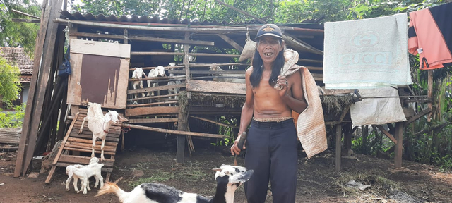 Jaeman, peternak kambing / Foto: Siti Nurhaliza 