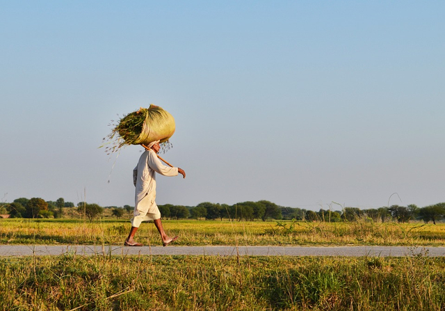 Jalan hidup masing masing orang berbeda (sumber pixabay.com)