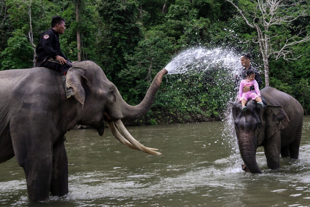 Gajah jinak menyemburkan air memandikan warga yang berkunjung ke CRU Sampoiniet, Ie Jeureungeh, Aceh Jaya, pada medio Juni 2021. Foto: Fahzian Aldevan untuk acehkini