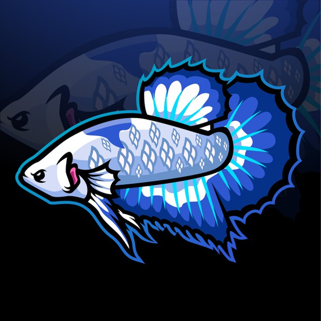 6 Jenis Ikan Cupang yang Mahal, Foto: Freepik