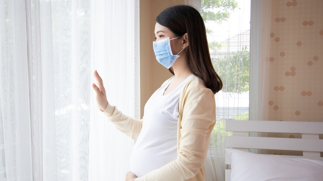 Ilustrasi ibu hamil pakai masker. Foto: Shutter Stock