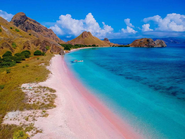 Foto udara Pantai Pink, Nusa Tenggara Timur. Foto: Rivan Awal Lingga/ANTARA FOTO