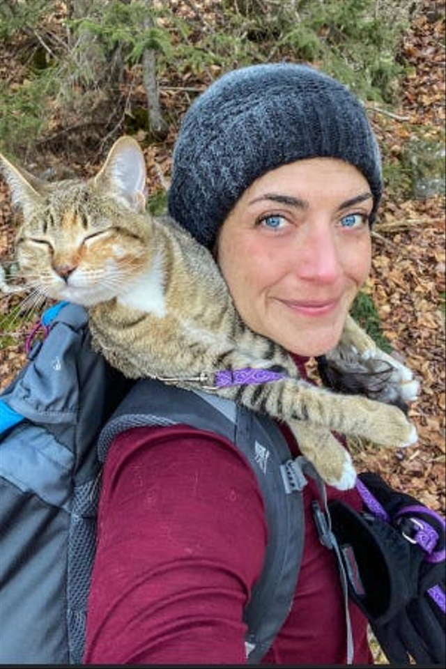 Floki, kucing yang mendaki gunung tertinggi di New Hamsphire, AS. Foto: Mel Am via AP
