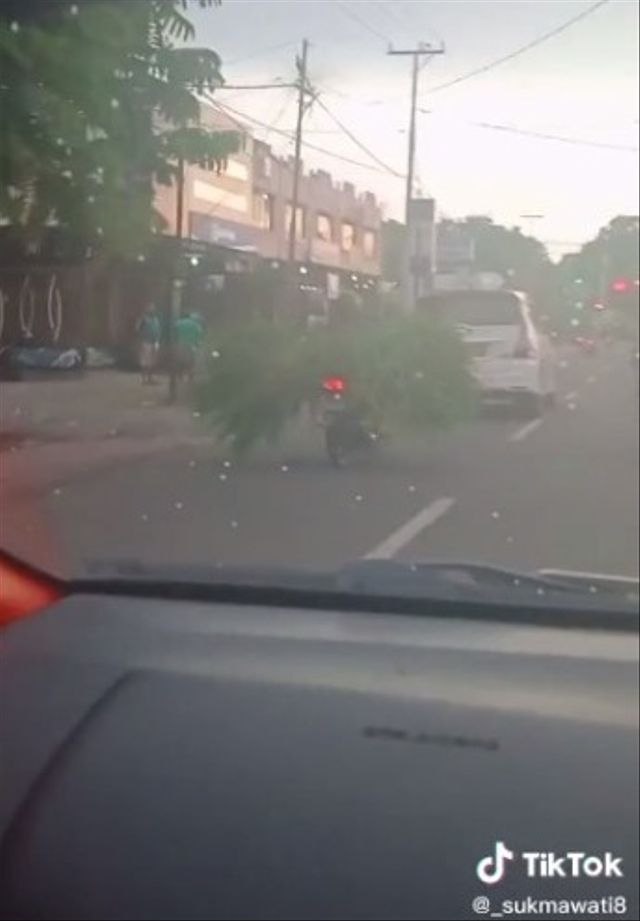 Viral wanita buntuti pacarnya yang mengaku sebagai PNS dan ternyata diduga hanya seorang peternak. (Foto: TikTok/@_sukmawati8)