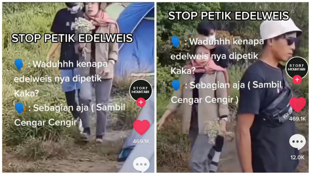 Dok. TikTok/ @story.mountain