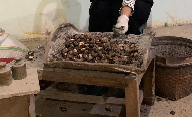 Proses menyukil kacang mete. Foto: Yusuf Fajarinjani