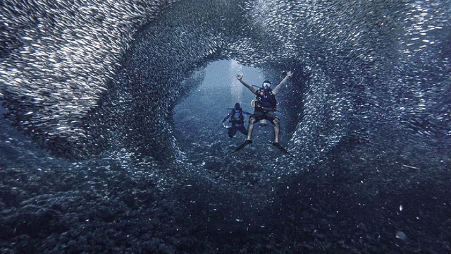 Penyelam saat berfoto dengan juataan banyaknya ikan di laut Ternate. Foto: Lacona Dive untuk cermat