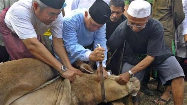 Penyembelihan sapi kurban. Foto: pesantren.id.
