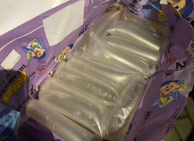 Polres Pelabuhan Tanjung Priok gagalkan penyelundupan benih lobster. Foto: Polres Pelabuhan Tanjung Priok