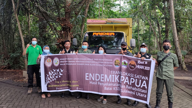 Tim dari BKSDA dan Karantina Pertanian Manado dalam kegiatan translokasi satwa endemik Papua dan Papua Barat ke habitat aslinya