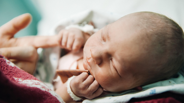 Ilustrasi bayi baru lahir. Foto: Shutter Stock