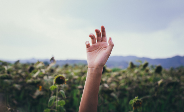 Ilustrasi Arti Kedutan Lengan Kanan Atas Siku dan Bagian Lain, Dari Primbon dan Sisi Medis. Foto: Pexels