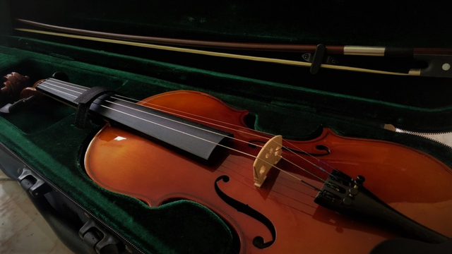 Skylark Violin oleh Risma Perdana Izzati (15/07/21)