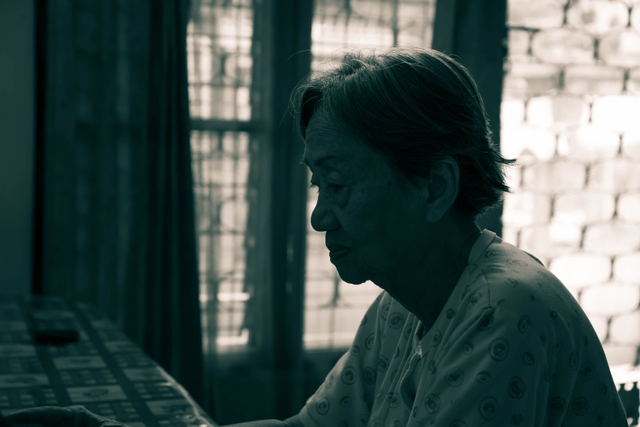 Seorang Ibu bisa mengalami kekhawatiran terkait apapun (Sumber: unsplash.com/Steven HWG)