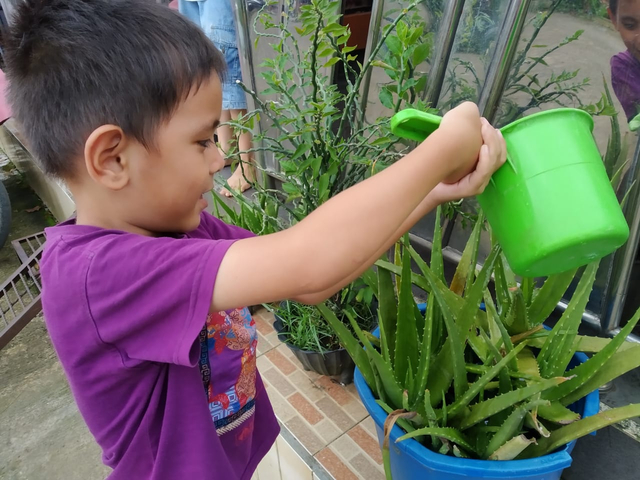 Merawat tanaman sebagai salah satu bentuk self healing, sumber foto: dokumentasi pribadi