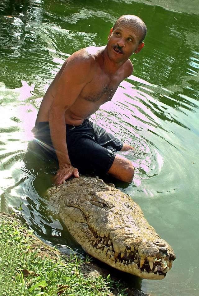 Gilberto Sheben berenang dengan buaya sepanjang 4,5 m bernama "Pocho" di sebuah danau di Siquerres, 100 km timur dari San Jose 10 Juni 2005. Foto: MAYELA LOPEZ/AFP