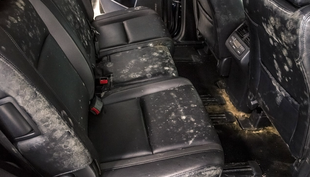 Interior mobil yang jamuran. dok. North West Auto Salon
