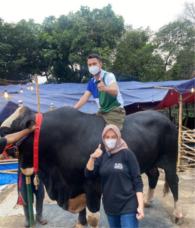 Raffi Ahmad berfoto dengan sapi 1,3 ton yang dibeli di Gunungkidul, DIY, untuk kurban Idul Adha. Foto: Instagram/@raffinagita1717