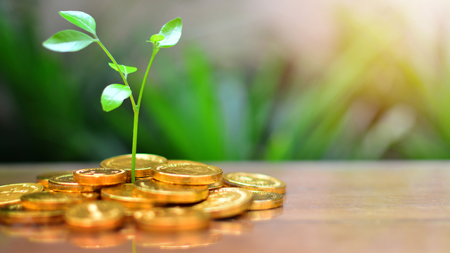 Ilustrasi investasi emas. Foto: Shutter Stock