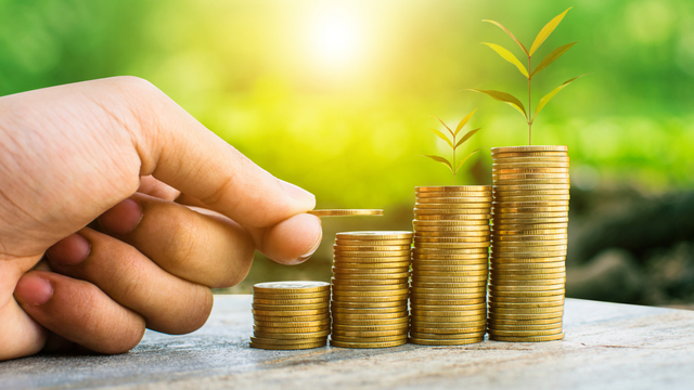 Ilustrasi investasi. Foto: Shutter Stock