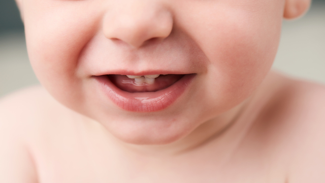 Ilustrasi gigi bayi. Foto: Shutter Stock