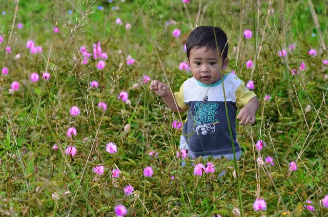 Ilustrasi anak bermain di luar ruangan. Foto: Shutter Stock